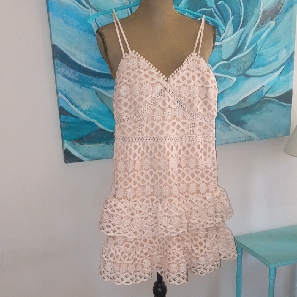 Lulu's Blush Lace Detail Dress